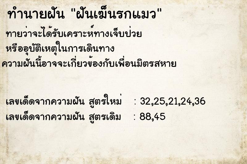 ทำนายฝันทำนายฝันฝันเฆ็นรกแมว