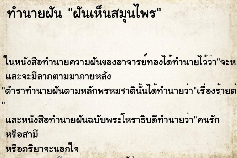 ทำนายฝันทำนายฝันฝันเห็นสมุนไพร