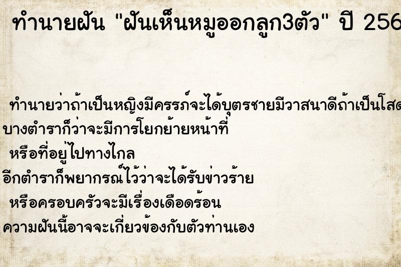ทำนายฝันฝันเห็นหมูออกลูก3ตัว ทำนายฝันทำนายฝันฝันเห็นหมูออกลูก3ตัว