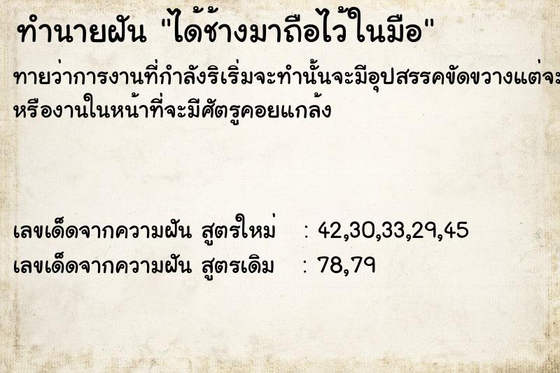 ทำนายฝันทำนายฝันได้ช้างมาถือไว้ในมือ