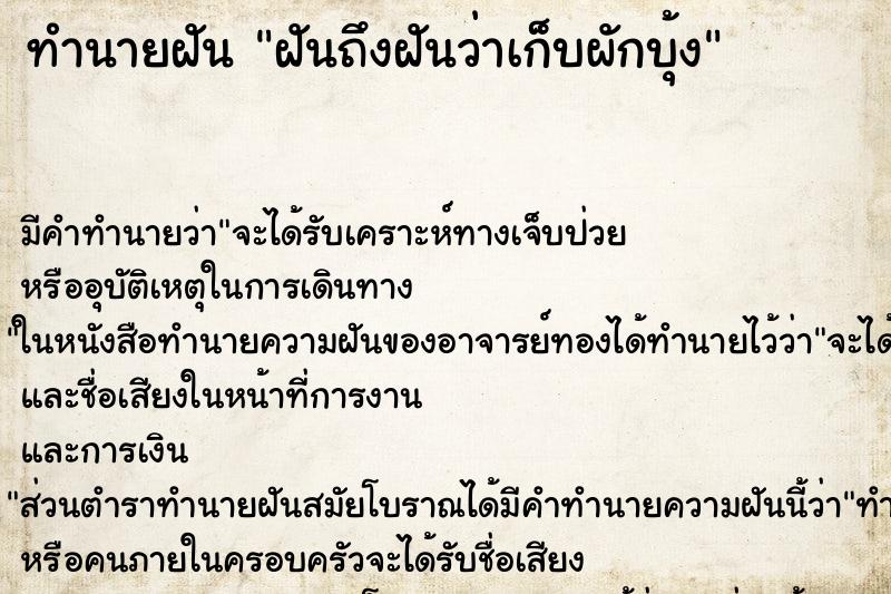 ทำนายฝัน ฝันถึงฝันว่าเก็บผักบุ้ง ทำนายฝัน ฝันถึงฝันว่าเก็บผักบุ้ง
