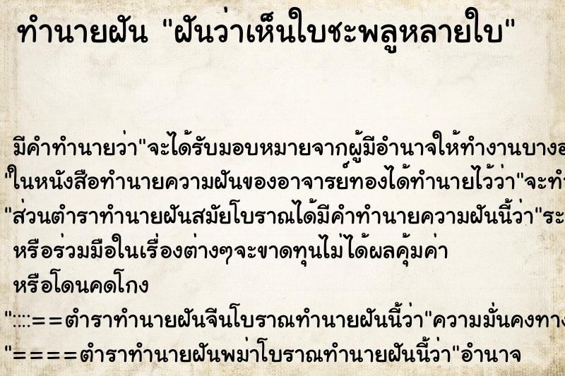ทำนายฝันฝันว่าเห็นใบชะพลูหลายใบ ทำนายฝันทำนายฝันฝันว่าเห็นใบชะพลูหลายใบ