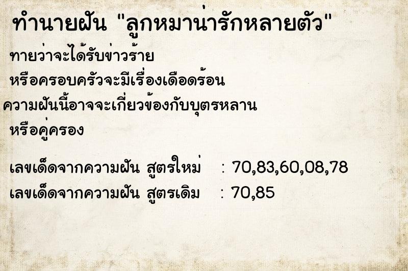 ทำนายฝันลูกหมาน่ารักหลายตัว ทำนายฝันทำนายฝันลูกหมาน่ารักหลายตัว