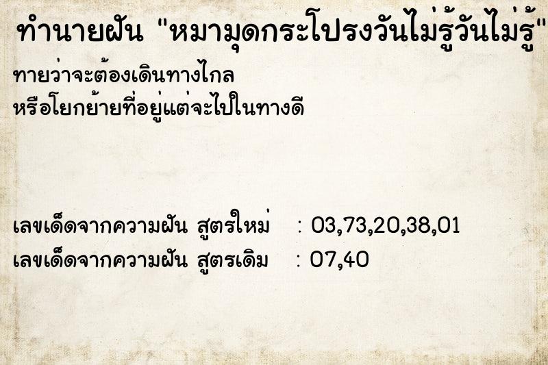 ทำนายฝันทำนายฝันหมามุดกระโปรงวันไม่รู้วันไม่รู้