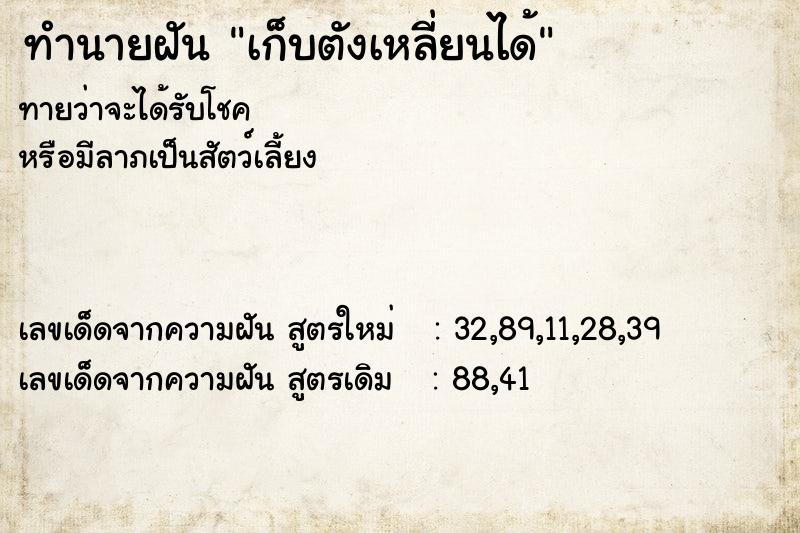 ทำนายฝันทำนายฝันเก็บตังเหลี่ยนได้