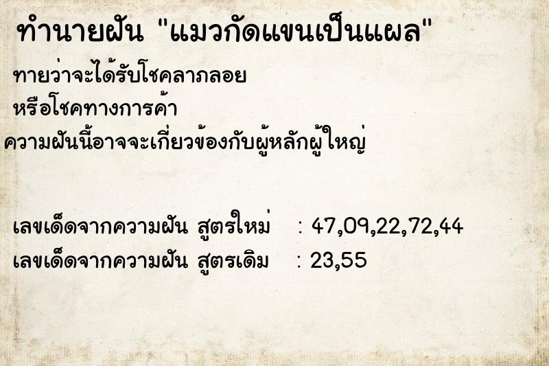 ทำนายฝันทำนายฝันแมวกัดแขนเป็นแผล