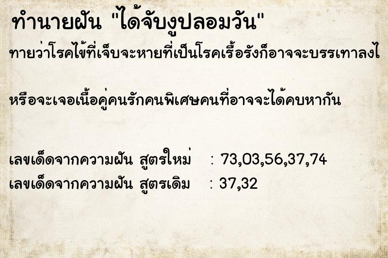 ทำนายฝันทำนายฝันได้จับงูปลอมวัน