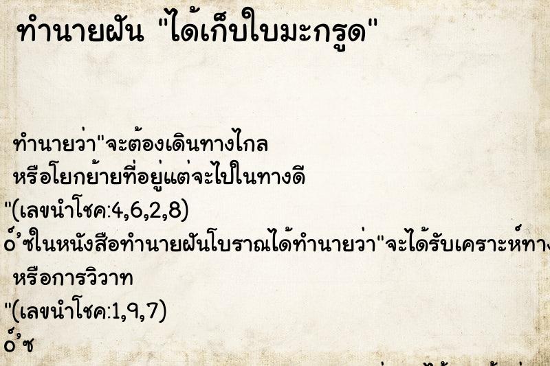 ทำนายฝัน ได้เก็บใบมะกรูด ทำนายฝัน ได้เก็บใบมะกรูด