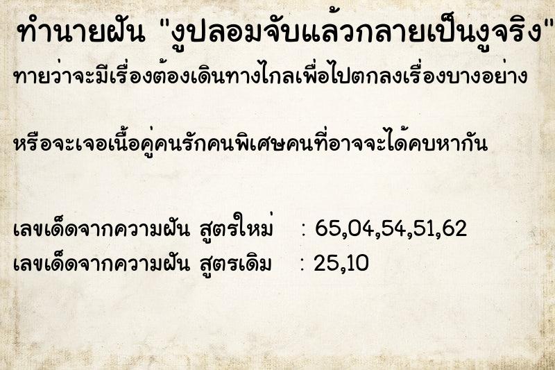 ทำนายฝันทำนายฝันงูปลอมจับแล้วกลายเป็นงูจริง
