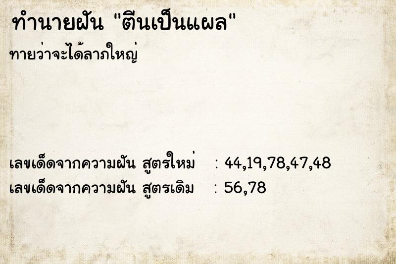 ทำนายฝันตีนเป็นแผล ทำนายฝันทำนายฝันตีนเป็นแผล