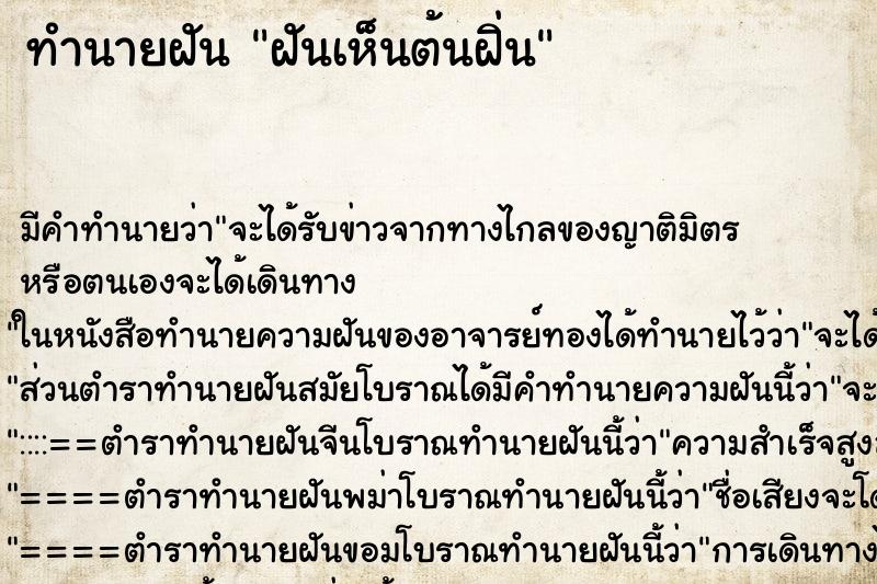 ทำนายฝัน ฝันเห็นต้นฝิ่น ทำนายฝัน ฝันเห็นต้นฝิ่น