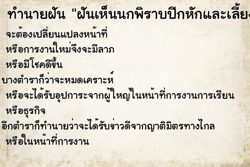 ทำนายฝันทำนายฝันฝันเห็นนกพิราบปีกหักและเลี้ยงเอาไว้