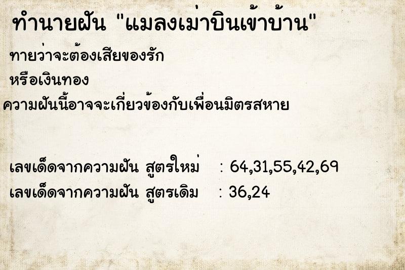 ทำนายฝัน แมลงเม่าบินเข้าบ้าน ทำนายฝัน แมลงเม่าบินเข้าบ้าน