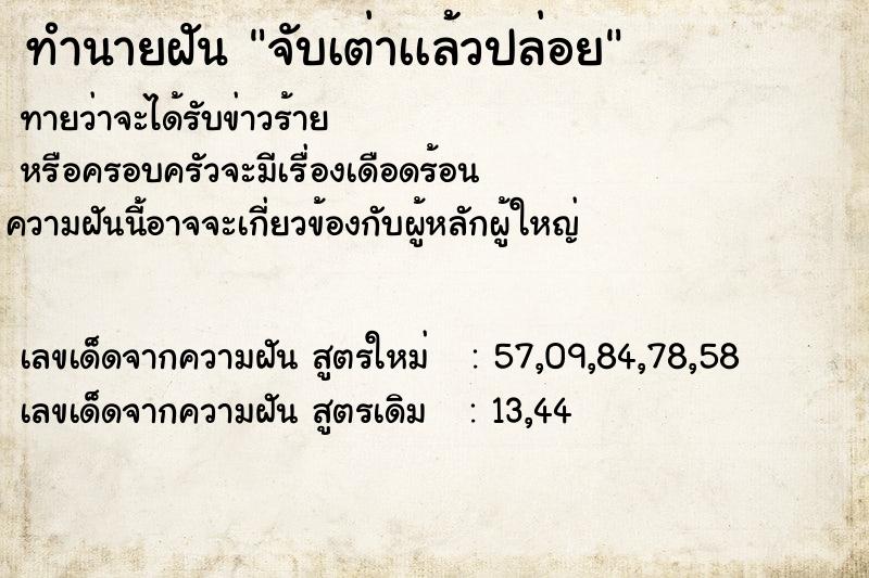 ทำนายฝันจับเต่าเเล้วปล่อย ทำนายฝันทำนายฝันจับเต่าเเล้วปล่อย