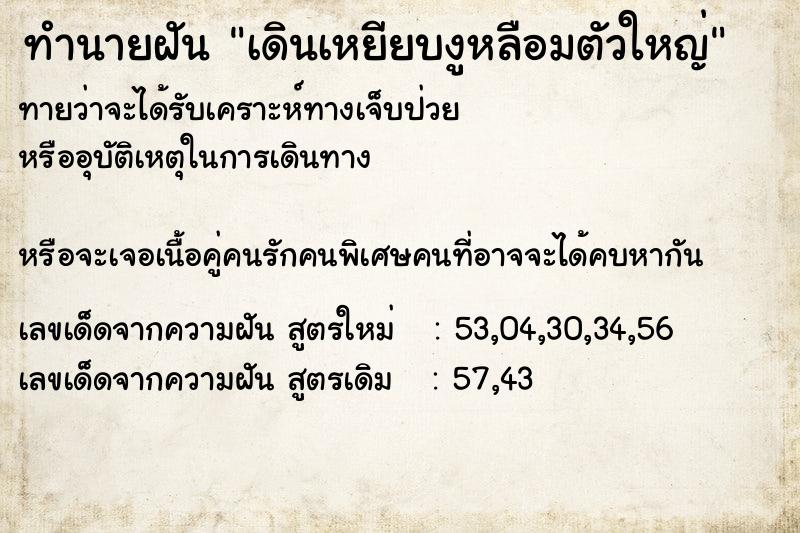 ทำนายฝันทำนายฝันเดินเหยียบงูหลือมตัวใหญ่