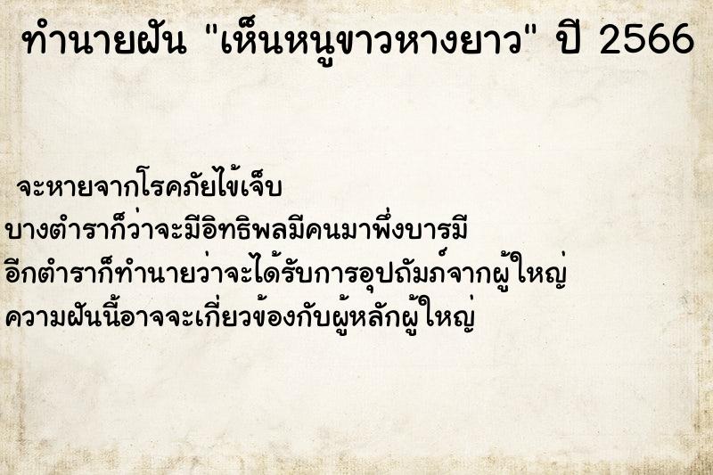 ทำนายฝัน เห็นหนูขาวหางยาว ทำนายฝัน เห็นหนูขาวหางยาว