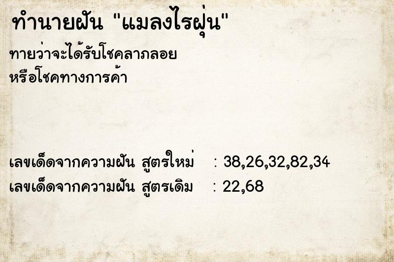 ทำนายฝันแมลงไรฝุ่น ทำนายฝันทำนายฝันแมลงไรฝุ่น