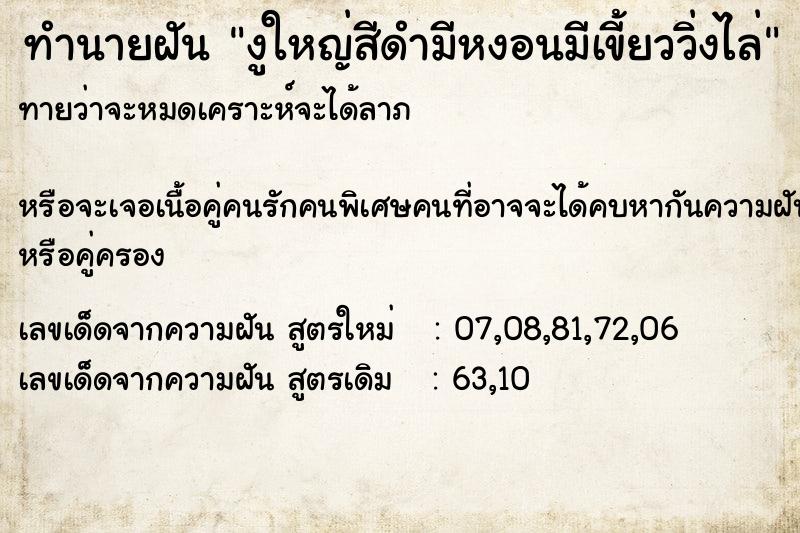 ทำนายฝันงูใหญ่สีดำมีหงอนมีเขี้ยววิ่งไล่ ทำนายฝันทำนายฝันงูใหญ่สีดำมีหงอนมีเขี้ยววิ่งไล่