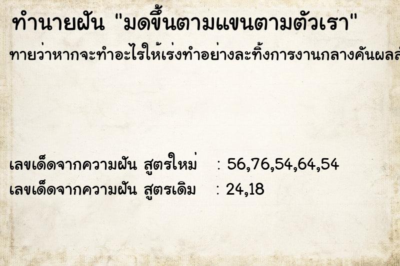 ทำนายฝันมดขึ้นตามแขนตามตัวเรา ทำนายฝันทำนายฝันมดขึ้นตามแขนตามตัวเรา