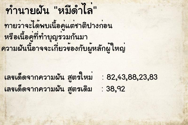 ทำนายฝันหมีดำไล่ ทำนายฝันทำนายฝันหมีดำไล่