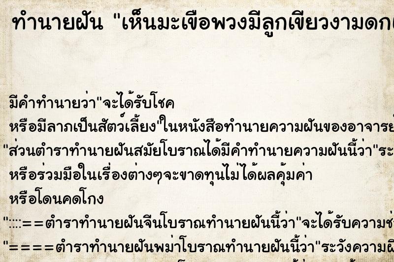 ทำนายฝัน เห็นมะเขือพวงมีลูกเขียวงามดกเต็มต้น ทำนายฝัน เห็นมะเขือพวงมีลูกเขียวงามดกเต็มต้น