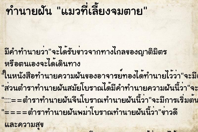 ทำนายฝัน แมวที่เลี้ยงจมตาย ทำนายฝัน แมวที่เลี้ยงจมตาย