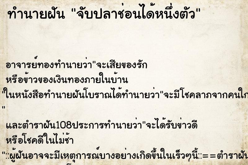 ทำนายฝันจับปลาช่อนได้หนึ่งตัว ทำนายฝันทำนายฝันจับปลาช่อนได้หนึ่งตัว