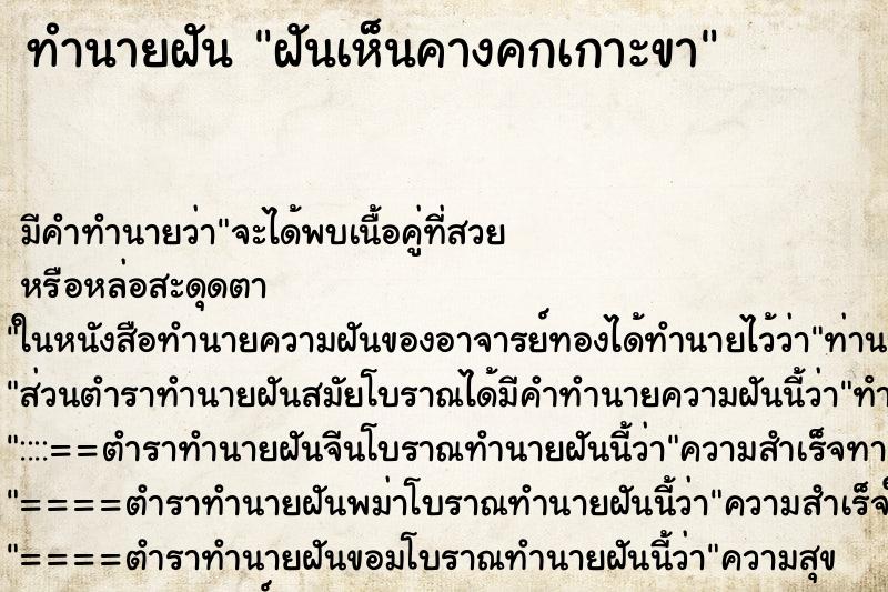 ทำนายฝัน ฝันเห็นคางคกเกาะขา ทำนายฝัน ฝันเห็นคางคกเกาะขา