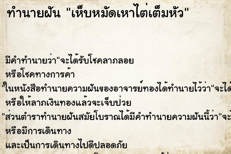 ทำนายฝัน เห็บหมัดเหาไต่เต็มหัว ทำนายฝัน เห็บหมัดเหาไต่เต็มหัว