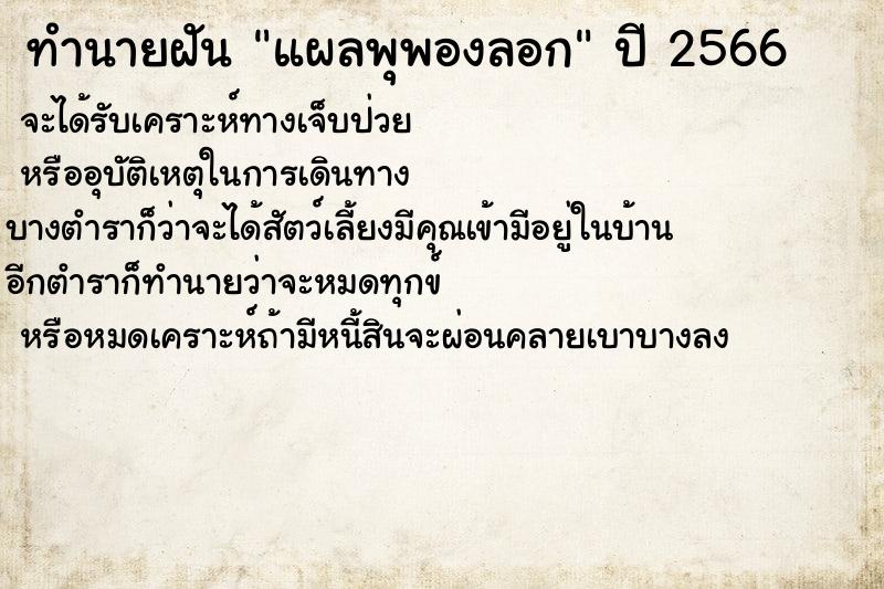 ทำนายฝัน แผลพุพองลอก ทำนายฝัน แผลพุพองลอก