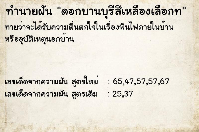 ทำนายฝันทำนายฝันดอกบานบุรีสีเหลืองเลือกท