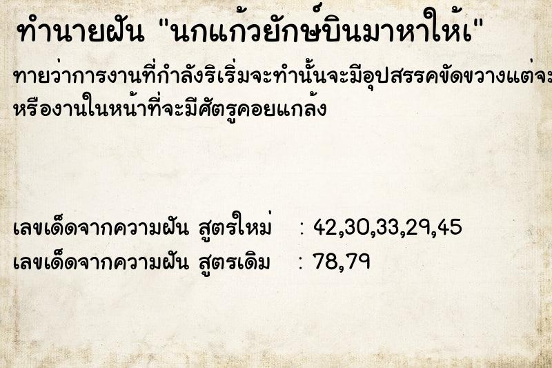 ทำนายฝันนกแก้วยักษ์บินมาหาให้à ทำนายฝันทำนายฝันนกแก้วยักษ์บินมาหาให้à