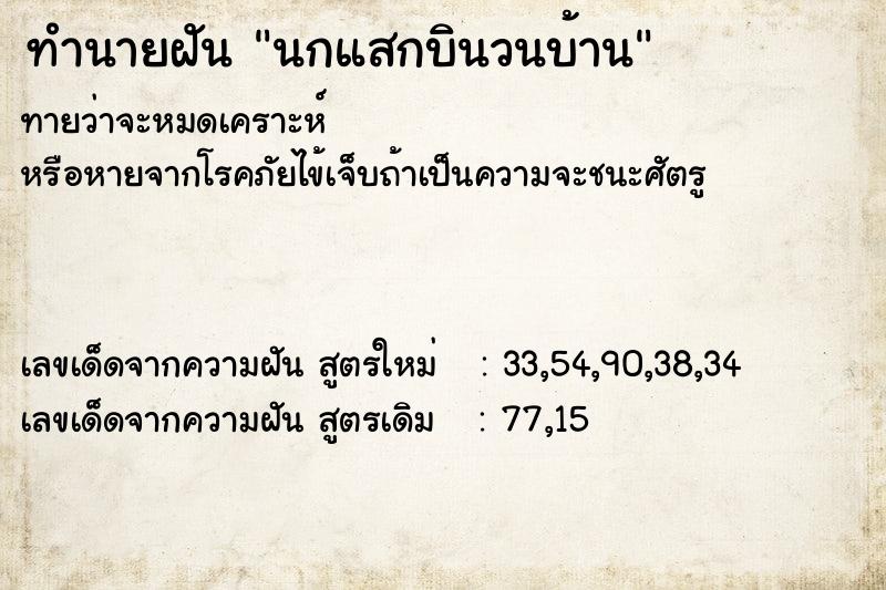 ทำนายฝัน นกแสกบินวนบ้าน ทำนายฝัน นกแสกบินวนบ้าน