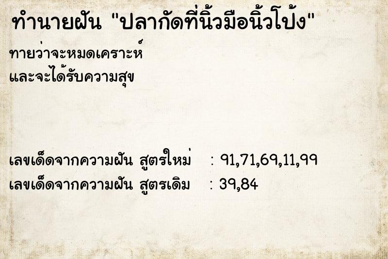 ทำนายฝันปลากัดที่นิ้วมือนิ้วโป้ง ทำนายฝันทำนายฝันปลากัดที่นิ้วมือนิ้วโป้ง