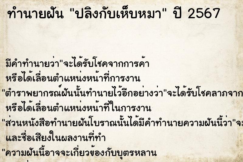 ทำนายฝันปลิงกับเห็บหมา ทำนายฝันทำนายฝันปลิงกับเห็บหมา