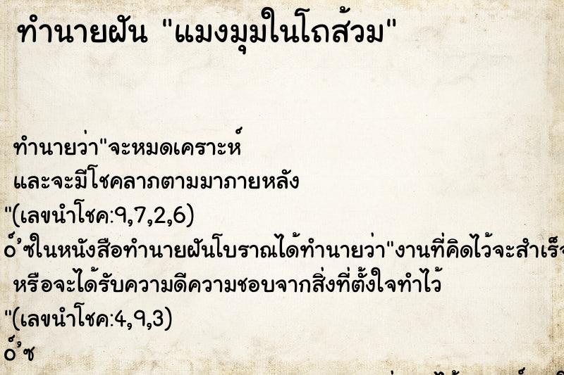 ทำนายฝันทำนายฝันแมงมุมในโถส้วม