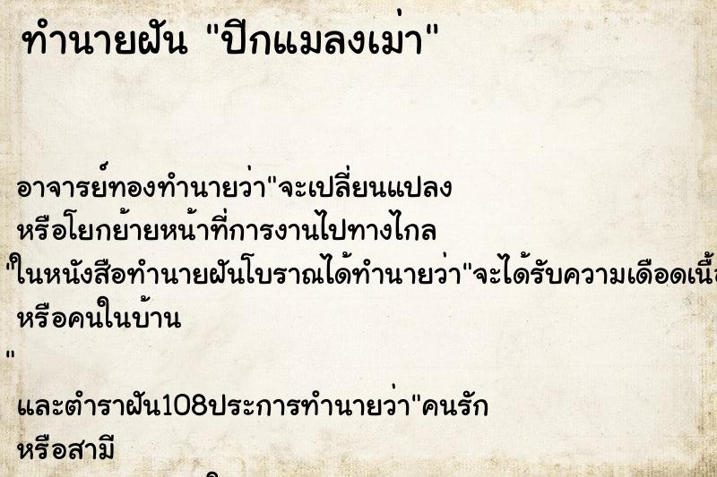 ทำนายฝัน ปีกแมลงเม่า