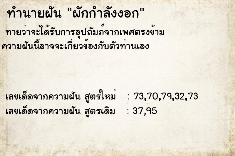 ทำนายฝันทำนายฝันผักกำลังงอก