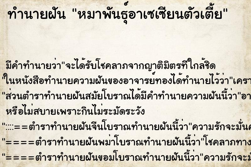 ทำนายฝัน หมาพันธุ์อาเซเซียนตัวเตี้ย
