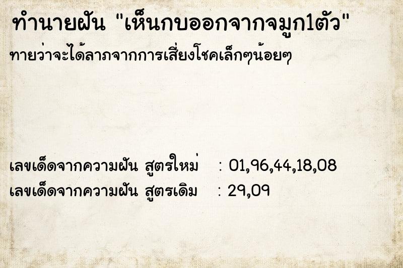 ทำนายฝันเห็นกบออกจากจมูก1ตัว ทำนายฝันทำนายฝันเห็นกบออกจากจมูก1ตัว