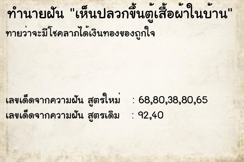 ทำนายฝันเห็นปลวกขึ้นตู้เสื้อผ้าในบ้าน ทำนายฝันทำนายฝันเห็นปลวกขึ้นตู้เสื้อผ้าในบ้าน