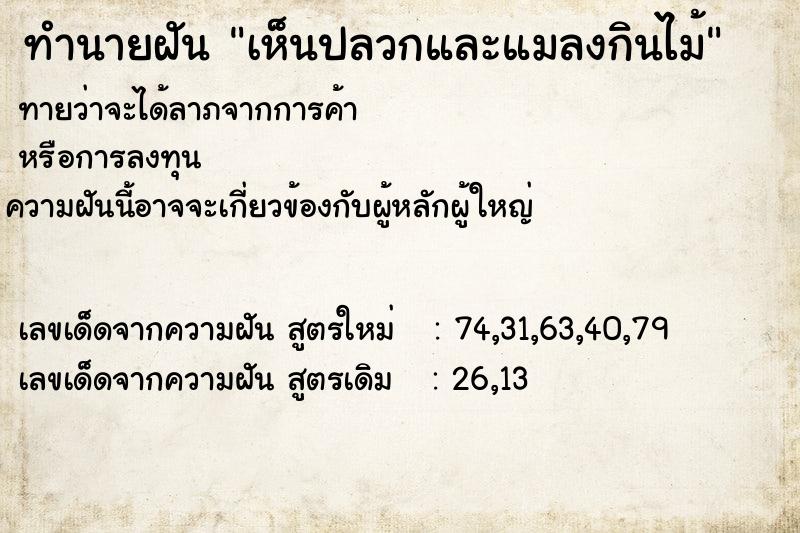 ทำนายฝันเห็นปลวกและแมลงกินไม้ ทำนายฝันทำนายฝันเห็นปลวกและแมลงกินไม้