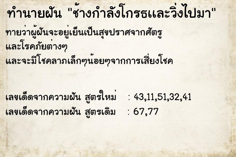 ทำนายฝันช้างกำลังโกรธเเละวิ่งไปมา ทำนายฝันทำนายฝันช้างกำลังโกรธเเละวิ่งไปมา