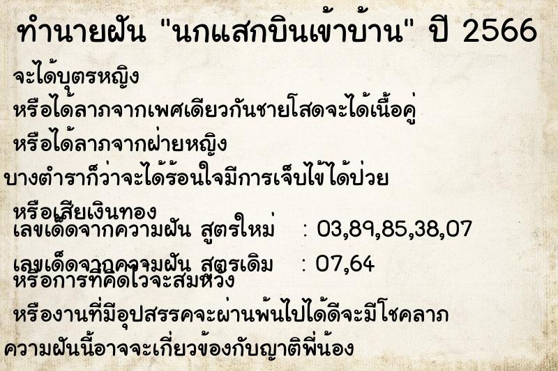 ทำนายฝัน นกแสกบินเข้าบ้าน ทำนายฝัน นกแสกบินเข้าบ้าน
