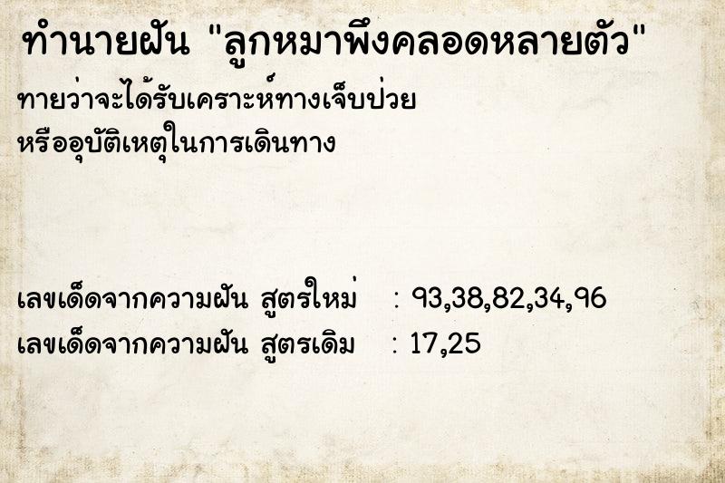 ทำนายฝันลูกหมาพึงคลอดหลายตัว ทำนายฝันทำนายฝันลูกหมาพึงคลอดหลายตัว