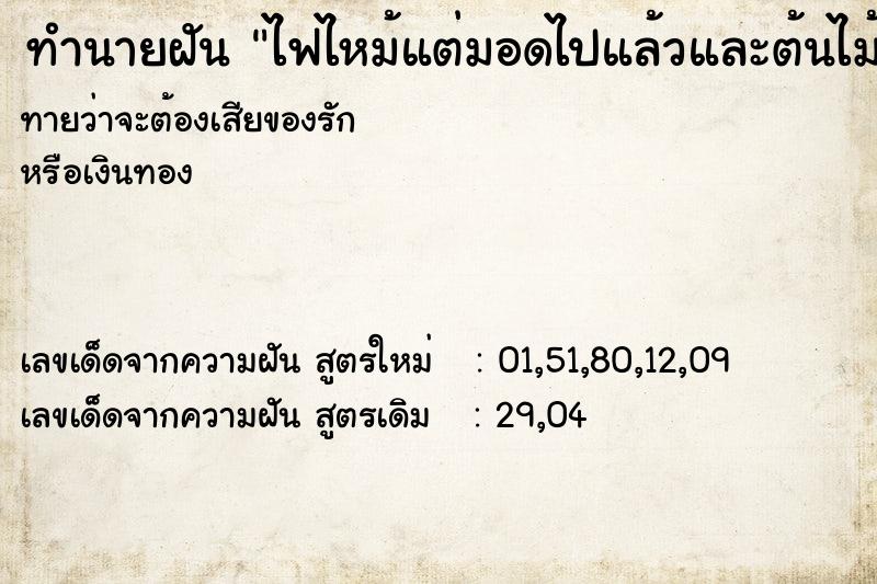 ทำนายฝันไฟไหม้แต่มอดไปแล้วและต้นไม้แตกใบตามมา ทำนายฝันทำนายฝันไฟไหม้แต่มอดไปแล้วและต้นไม้แตกใบตามมา