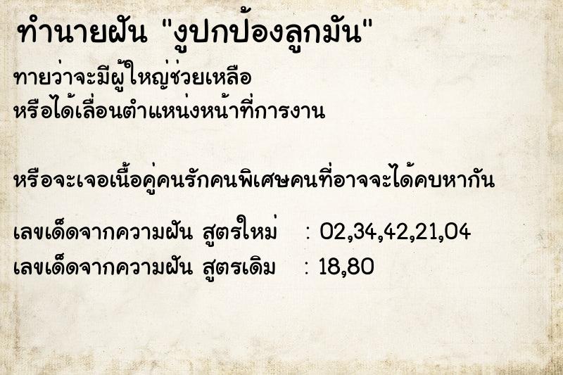 ทำนายฝันทำนายฝันงูปกป้องลูกมัน