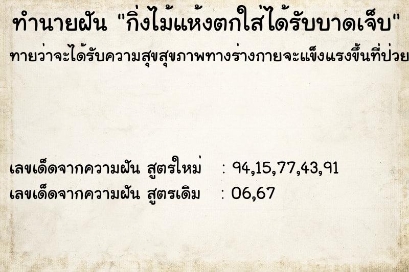 ทำนายฝัน กิ่งไม้แห้งตกใส่ได้รับบาดเจ็บ ตำราโบราณ แม่นที่สุดในโลก