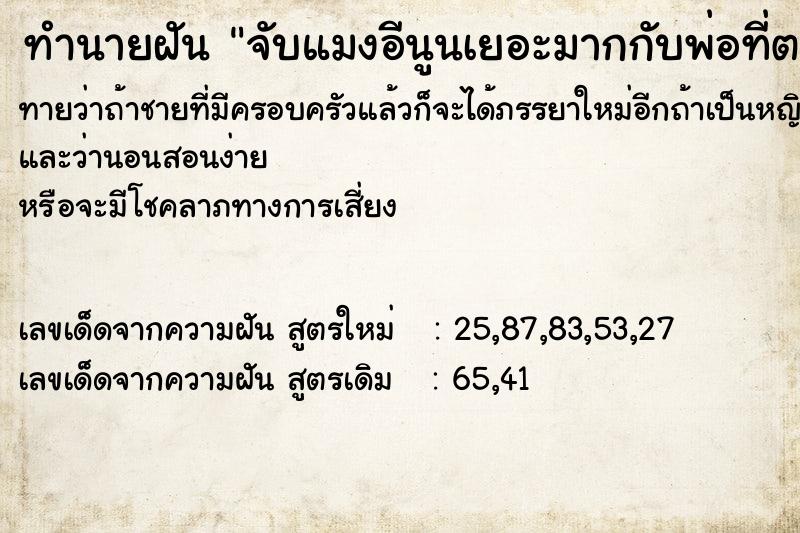 ทำนายฝันทำนายฝันจับแมงอีนูนเยอะมากกับพ่อที่ตายแล้ว