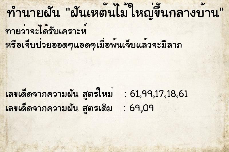 ทำนายฝันฝันเหต้นไม้ใหญ่ขึ้นกลางบ้าน ทำนายฝันทำนายฝันฝันเหต้นไม้ใหญ่ขึ้นกลางบ้าน